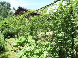 Holzhaus mit Garten